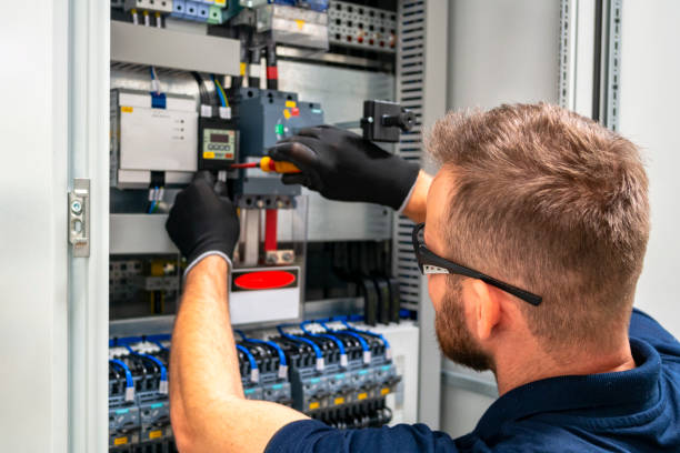 Best Electrician for Home Renovation  in Livonia, MI